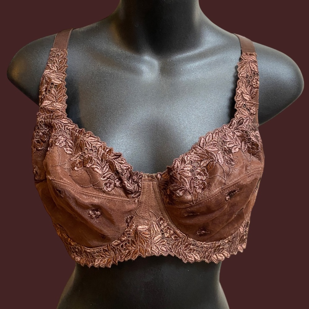 NWOT Carnival Full Figure Floral Sheer Lace Embroidered Bra Brown Underwire 38D